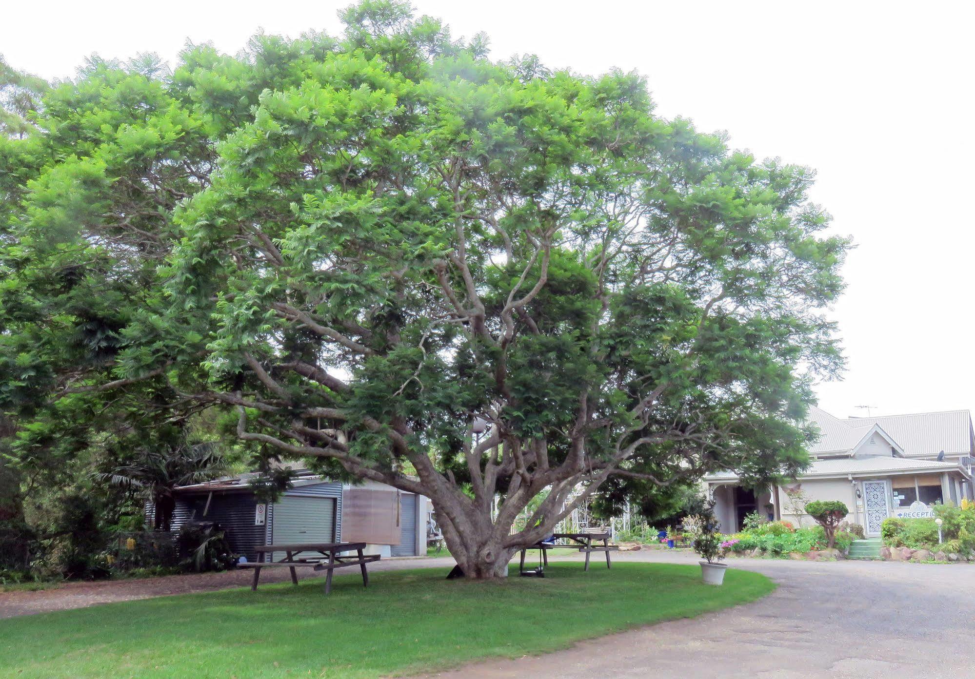 Ecotel Narooma North Narooma Exterior foto